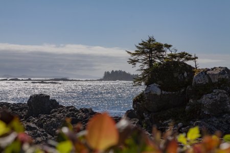 Bij de lichthouse, Ucluelet